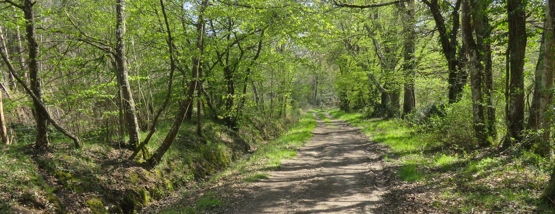 Les chemins communaux